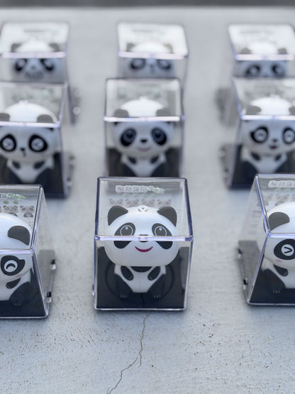 Cute Solar Panda