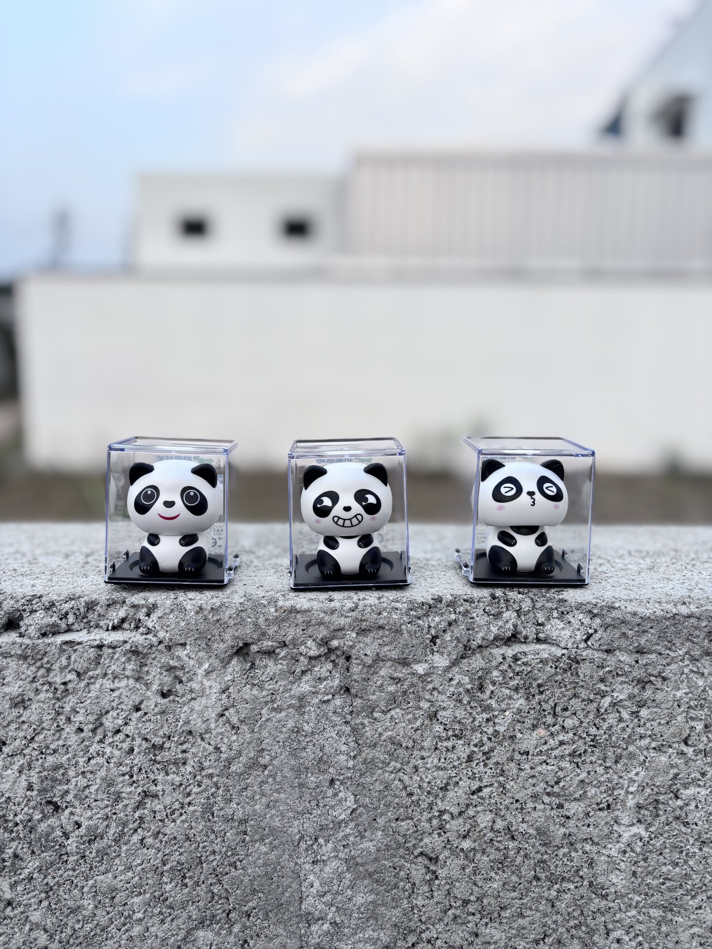 Cute Solar Panda