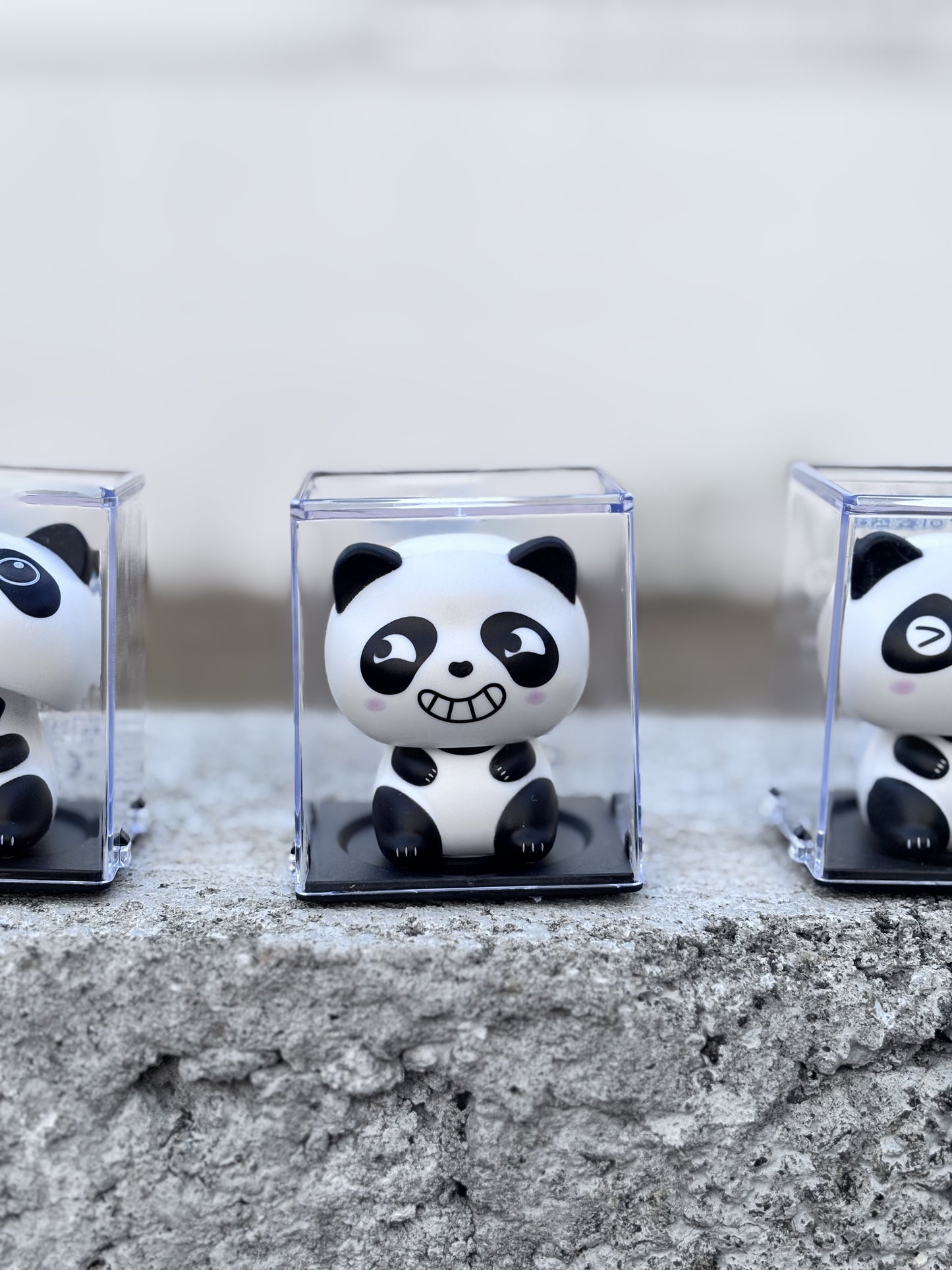 Cute Solar Panda